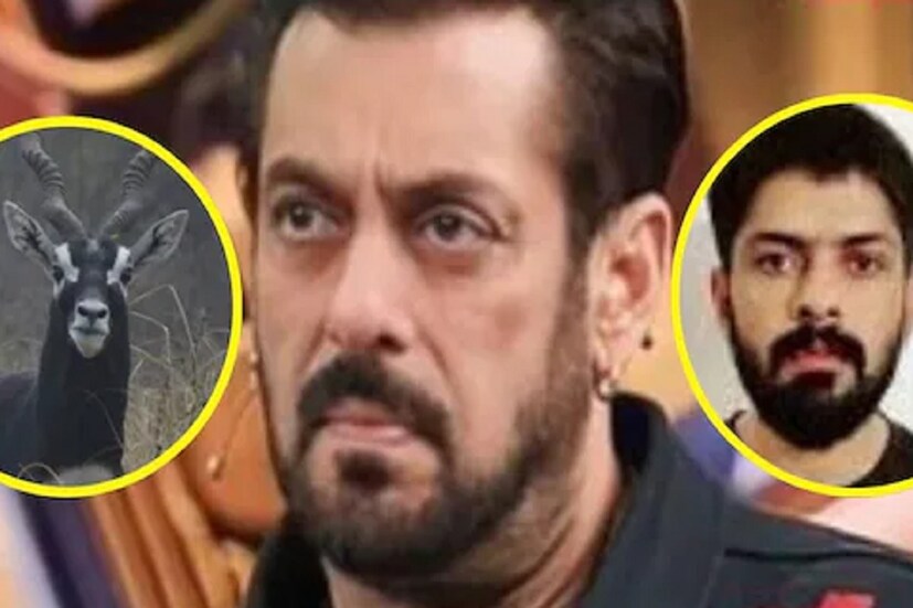 ওষুধ-সহ অন্যান্য জিনিস তৈরি হয় শরীরের বাকি অংশ থেকে। কালোবাজারে কৃষ্ণসার হরিণের মাথা আর সিংয়ের চাহিদা সবচেয়ে বেশি। বাড়ির ড্রয়িং রুমে শিং সমেত মাথা স্টাফ করে সাজিয়ে রাখা হয়। ধনী ব্যক্তিদের কাছে এটা স্ট্যাটাস সিম্বল। শিং, নখ ও দাঁত দিয়ে বিভিন্ন ধরণের ওষুধ ও অন্যান্য সামগ্রী তৈরি করা হয়। সোজা কথায়, নিরীহ এই প্রাণীর শরীরের প্রতিটা অংশ দিয়েই হয় কিছু তৈরি হয়। নয়ত ঘর সাজানোর কাজে লাগে।