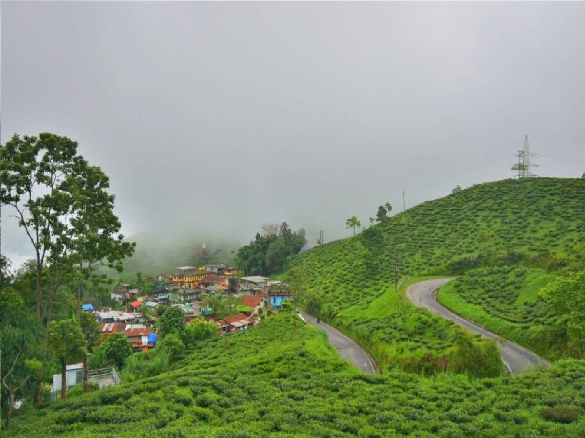 এ প্রসঙ্গে, এখানে ঘুরতে আছে আজ পর্যটক বলেন মিরিক পাহাড়ের বুকে এই জায়গা এখনও অনেকেরই অজানা, নিরিবিলি শান্ত পরিবেশে সবুজে ঘেরা প্রকৃতির মাঝে এই জায়গায় কিছুটা সময় কাটিয়ে মন ভাল হয়ে গেল। এখানে দাঁড়িয়ে দুচোখ ভরে শহর শিলিগুড়ি দেখলাম। ফাইল ছবি। 