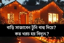 খুদে খুদে আলোতেই এত! জানেন টুনি বাল্ব জ্বললে কত খরচ হয় বিদ‍্যুত্‍?