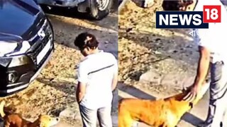 মাথায় হাত দিতেই বিপদ, ব্যক্তিকে আক্রমণ কুকুরের