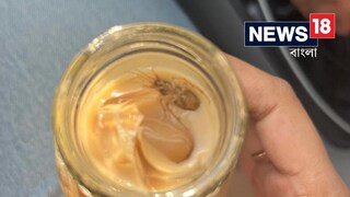 আইসড ল্যাটেতে তেলাপোকা