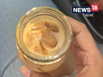 আইসড ল্যাটেতে তেলাপোকা
