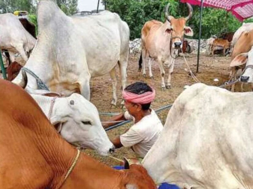 যে জিনিসগুলি হরিয়ানাকে আলাদা করে তোলে হরিয়ানা, যা খেলাধুলায় সর্বোচ্চ সংখ্যক পদক নিয়ে আসে, একটি আইটি হাব হিসাবেও স্বীকৃত হয়েছে। এ ছাড়া উৎপাদনেও এগিয়ে রয়েছে। যাত্রীবাহী গাড়ি, মোটর সাইকেল, মোবাইল ক্রেন, ট্র্যাক্টর তৈরি করা হয় শস্যের দিক থেকে ভারতের দ্বিতীয় বৃহত্তম অবদানকারী হরিয়ানা ভারতীয় সংস্কৃতি ও সভ্যতার স্থল। এই সেই রাজ্য যেখানে ব্রহ্মা প্রাচীন যজ্ঞ করেছিলেন এবং বিশ্ব সৃষ্টি করেছিলেন। বিজ্ঞান বলছে, দেড় কোটি বছর আগে হরিয়ানার শিবালিকে আদিম মানুষ বাস করত। বামন পুরাণে বলা হয়েছে যে রাজা কুরু ভগবান শিবের নন্দী দ্বারা টানা সোনার লাঙ্গল দিয়ে কুরুক্ষেত্রের সমভূমি চষেছিলেন এবং সাত কোস এলাকা উদ্ধার করেছিলেন।