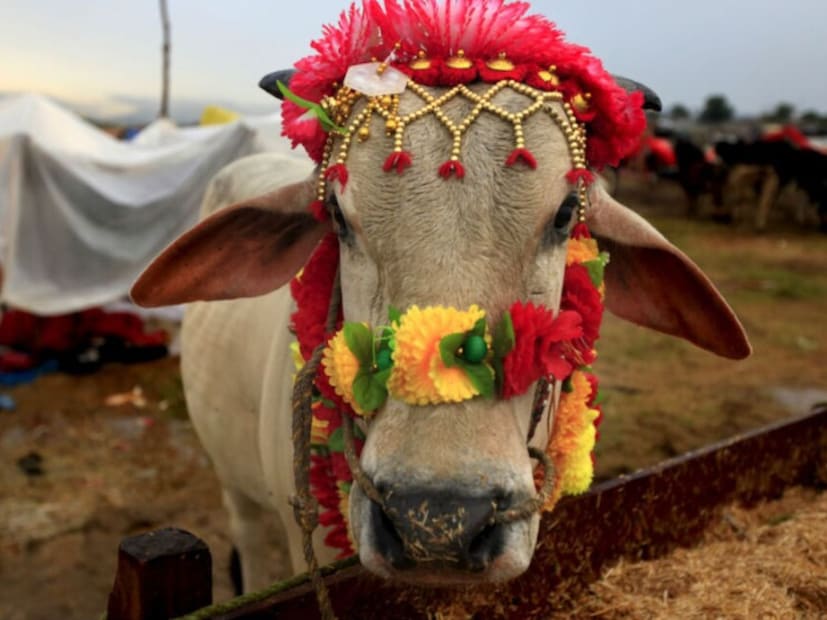 সাধক বেদ ব্যাস এই ভূমিতে মহাভারত রচনা করেছিলেন। এখানে পাঁচ হাজার বছর আগে, মহাভারত যুদ্ধের শুরুতে ভগবান শ্রীকৃষ্ণ অর্জুনকে কর্তব্য প্রচার করেছিলেন। মহাভারতের যুদ্ধের আগে কুরুক্ষেত্র অঞ্চলে দশজন রাজার যুদ্ধ হলেও তা ছিল ধর্মের সর্বোচ্চ মূল্যবোধের জন্য যুদ্ধ।