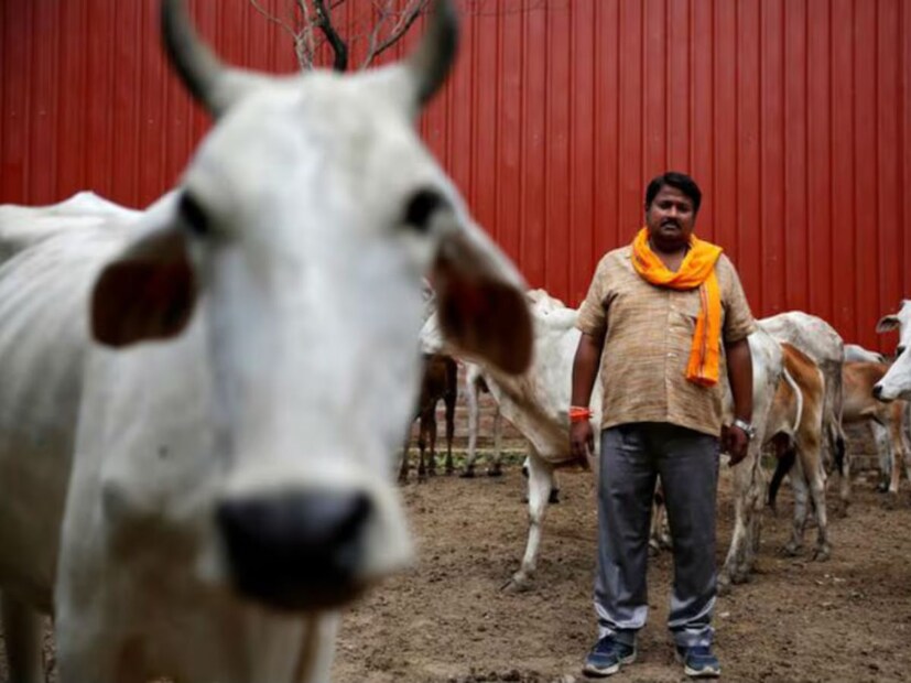এই এলাকাটি 'উত্তর ভারতের প্রবেশদ্বার' হওয়ায় বহু যুদ্ধের স্থান হয়েছে। সময় অতিবাহিত হওয়ার সাথে সাথে স্থলভাগে নিষ্পত্তিমূলক যুদ্ধ করা হয়েছিল। ১৪ শতকের শেষের দিকে, তৈমুর এই অঞ্চল থেকে দিল্লিতে একটি সেনাবাহিনীর নেতৃত্ব দেন। ১৫২৬ সালের পানিপথের ঐতিহাসিক যুদ্ধে মুঘলরা লোধীদের পরাজিত করে। ১৮ শতকের মাঝামাঝি, মারাঠারা হরিয়ানার উপর তাদের আধিপত্য প্রতিষ্ঠা করে। আহমদ শাহ দুররানির অনুপ্রবেশ, মারাঠা আধিপত্য এবং মুঘল সাম্রাজ্যের দ্রুত পতনের ফলে ব্রিটিশ শাসনের আগমন ঘটে।