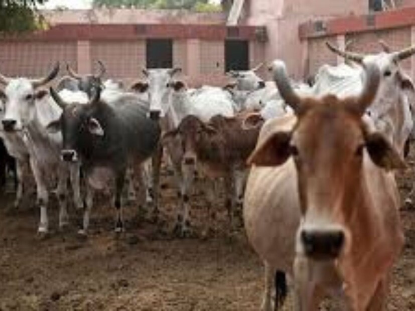 হরিয়ানার ইতিহাস মানে সাহসী, ধার্মিক, স্পষ্টবাদী এবং আত্মমর্যাদাশীল মানুষের সংগ্রামের গল্প। প্রাচীনকাল থেকেই হরিয়ানার জনগণ তাদের বীরত্ব দিয়ে আক্রমণকারীদের মোকাবিলা করেছে। জমির চিরায়ত গৌরব ও মাহাত্ম্য বজায় রেখে এসেছে। 