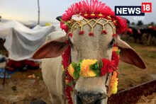দেশের কোন রাজ্যকে ভারতের ডেনমার্ক বলা হয়? নাম ও কারন শুনলে অবাক হয়ে যাবেন!