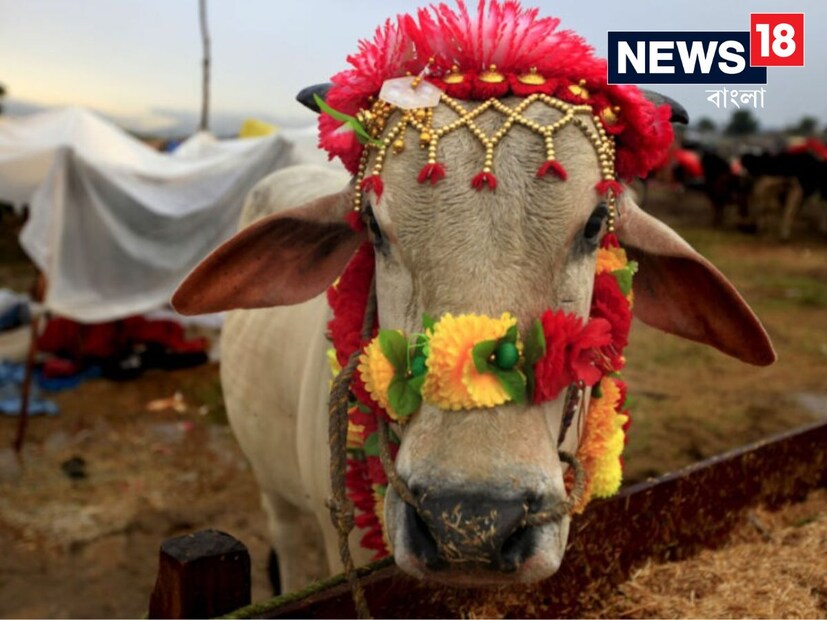 গরুর দুধ পান করা: যে ব্যক্তি স্বপ্নে গরুর দুধ পান করতে দেখেন, তার শত্রুর বিনাশ ঘটে। আয়নায় মুখ দেখা: যদি কেউ স্বপ্নে আয়নায় নিজের মুখ দেখেন, তবে শীঘ্রই তিনি তার প্রেমিক বা প্রিয় ব্যক্তির সঙ্গে মিলিত হবেন।