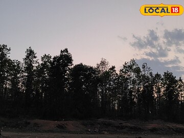 আর জাস্ট কিছুক্ষণ! বর্তমানে কোথায় অবস্থান সাইক্লোন ‘ডানা’-র? কোন কোন জেলায় প্রভা