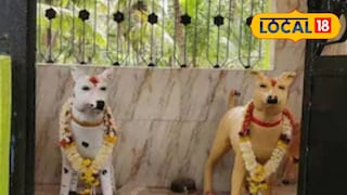 এই মন্দিরে কুকুরকে দেবতা হিসাবে পুজো করা হয়, জানুন ২০০ বছরের পুরনো ইতিহাস এই মন্দিরে কুকুরকে দেবতা হিসাবে পুজো করা হয়, জানুন ২০০ বছরের পুরনো ইতিহাস