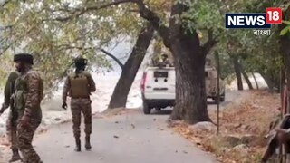 পুলওয়ামায় জঙ্গী হামলা, আহত শ্রমিক