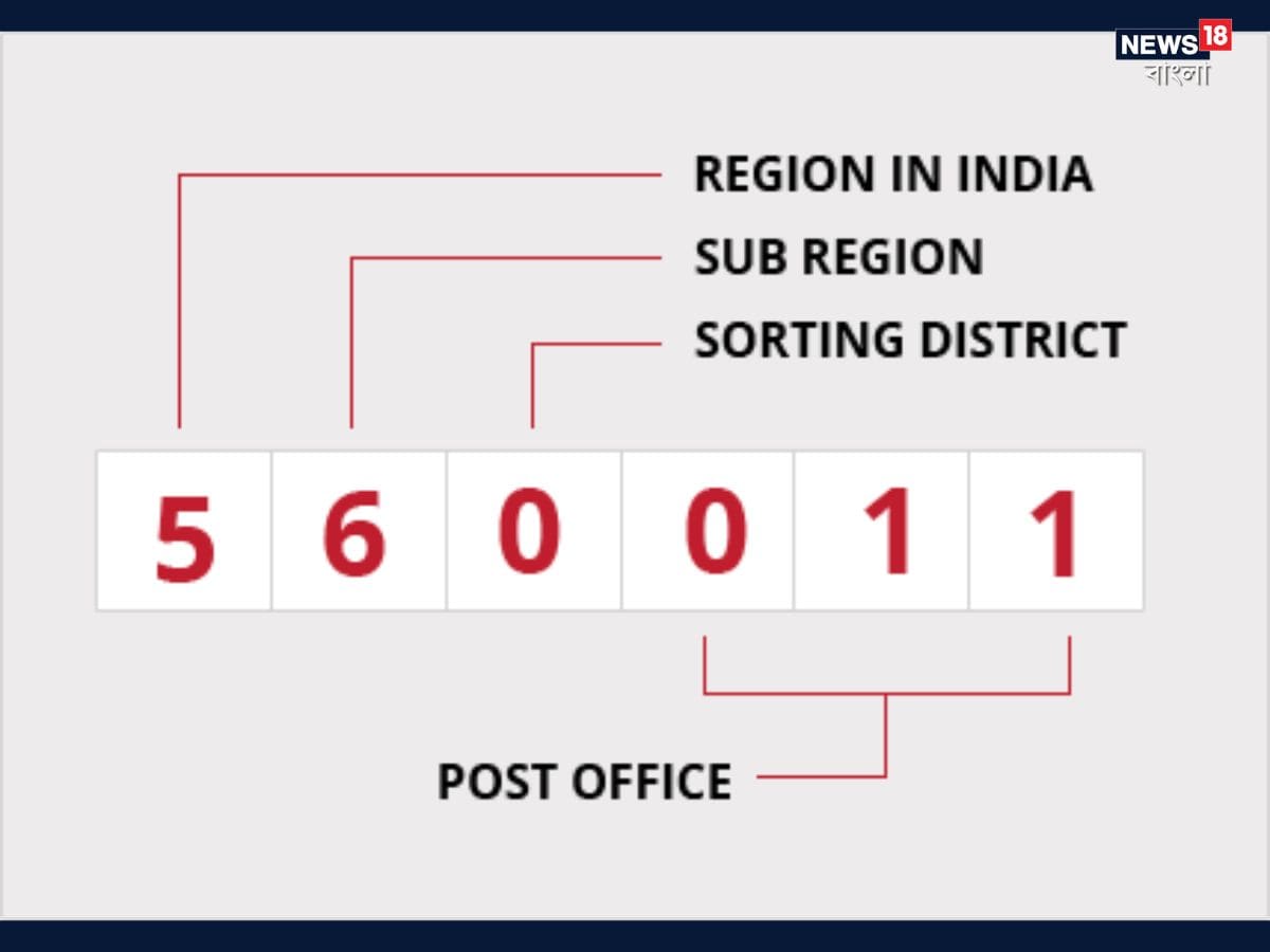 প্রথম সংখ্যাটি এলাকা বা জোন বোঝায়, দ্বিতীয় সংখ্যাটি সাব-জোন বোঝায় আর তৃতীয় সংখ্যাটি জেলার একটি অংশ বোঝায়। বাকি তিনটি সংখ্যা দিয়ে নির্দিষ্ট পোস্ট অফিস চিহ্নিত করা যায়। যেমন দিল্লির একটি এলাকার পিন কোড ১১০০০১। এ ক্ষেত্রে ১ হল দিল্লির নর্দার্ন জোন, ১০ হল সাব জোন আর ০০১ বোঝায় কন্নট প্লেস পোস্ট অফিসকে।