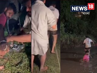 ড্রেনে জোড়া কুমির! ভয়ে এই এলাকায় ঘুম উড়ল স্থানীয়দের, দেখুন ভিডিও