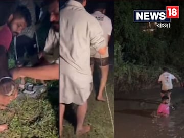 ড্রেনে জোড়া কুমির! ভয়ে এই এলাকায় ঘুম উড়ল স্থানীয়দের, দেখুন ভিডিও