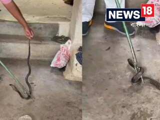আলমারি খুলতেই ভয়ঙ্কর দৃশ্য, অল্পের জন্য প্রাণে বাঁচলেন বাড়ির মালিক! দেখুন ভিডিয়ো