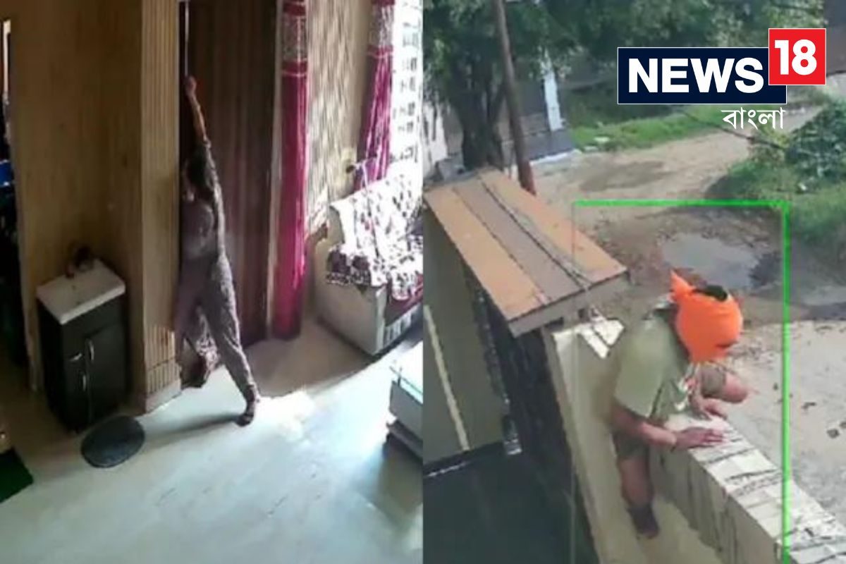 ডাকাতি করতে আসা তিন যুবককে একাই সামলে নিলেন মহিলা! মিস না করে দেখুন ভিডিয়ো ডাকাতি করতে আসা তিন যুবককে একাই সামলে নিলেন মহিলা! মিস না করে দেখুন ভিডিয়ো