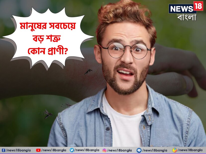 বলুন তো দেখি, কোন প্রাণী মানুষের সবথেকে বড় শত্রু? যার 'হামলার' কারণে বছরের বিশ্ব জুড়ে লক্ষ লক্ষ মানুষের মৃত্যু হয়? এই প্রশ্নের উত্তর দিতে গিয়ে হিমশিম খেয়েছেন অনেকেই।