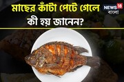 মাছের কাঁটা চিবিয়ে খান? জানেন মাছের কাঁটা শরীরে গেলে কী হতে পারে?
