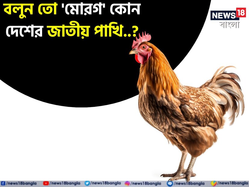 ডিসক্লেইমার: এই খবরের সঙ্গে সম্পর্কিত তথ্য নিউজ 18 বাংলা নিশ্চিত করে না। বিশেষত আপনার সাধারণ জ্ঞান বৃদ্ধি করাই আমাদের এই প্রতিবেদনের মূল উদ্দেশ্য। আমরা বিভিন্ন নির্ভরযোগ্য ওয়েবসাইট থেকে আপনার জন্য এই ধরনের তথ্য সংগ্রহ করার চেষ্টা করেছি। এই সংক্রান্ত চূড়ান্ত জ্ঞানের জন্য অবশ্যই বিশেষজ্ঞের মত নেওয়া কাম্য। 