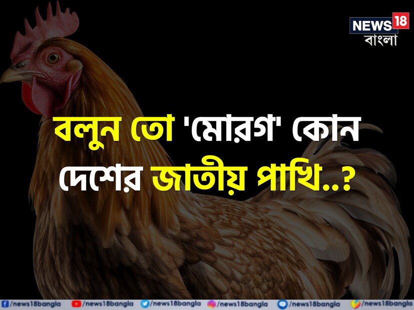 ছোট থেকে বড়, জেনারেল নলেজ বা সাধারণ জ্ঞানের প্রতি আগ্রহ কম বেশি সকলেরই। স্কুল পড়ুয়া থেকে চাকরিপ্রার্থী সকলেই এই বিষয়টি নিয়ে চর্চা করে থাকে। কেউ স্কুল কলেজ স্তরের প্রতিযোগিতামূলক পরীক্ষা বা ক্যুইজে যোগ দিতে আবার কেউ কেউ চাকরির পরীক্ষার জন্য জেনারেল নলেজ বাড়াতে প্রচুর পড়াশোনা করেন।