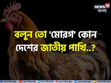 'মোরগ' কোন দেশের 'জাতীয় পাখি' জানেন? অনেকেরই জানা নেই...! এবার আপনার পালা! 'মোরগ' কোন দেশের 'জাতীয় পাখি' জানেন? অনেকেরই জানা নেই...! এবার আপনার পালা!