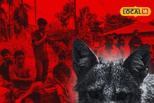 ঘরের বাইরে পা রাখলে কামড়ের আতঙ্ক! ‌আচমকাই দাঁত বসাচ্ছে 'ক্ষ্যাপা', রক্তাক্ত বহু