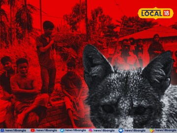 গ্রামে শিয়ালের আতঙ্ক