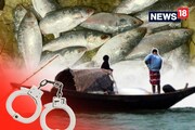 ইলিশ ধরতে গিয়ে বাংলাদেশে ধৃত ৪৮ জন ভারতীয় মৎস্যজীবী, বেহাত লাখ লাখ টাকার মাছ