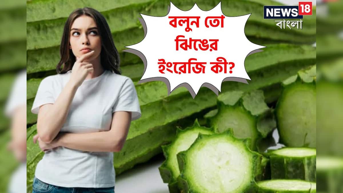 What is the English name of Jhinge Vegetable ঝিঙের ইংরেজি কী? বলুন তো