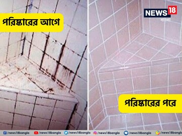 ১ মিনিটে ঝাঁ চকচকে বাথরুম টাইলস! তুক করবে চটজলদি হোম রেমেডি! পয়সাও লাগবে না