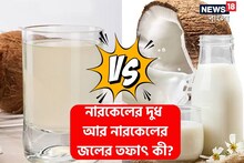 নারকেলের দুধ আর নারকেলের জলের 'তফাৎ' কী? কোনটা খাওয়া বেশি ভাল? তাড়ান 'কনফিউশন'!