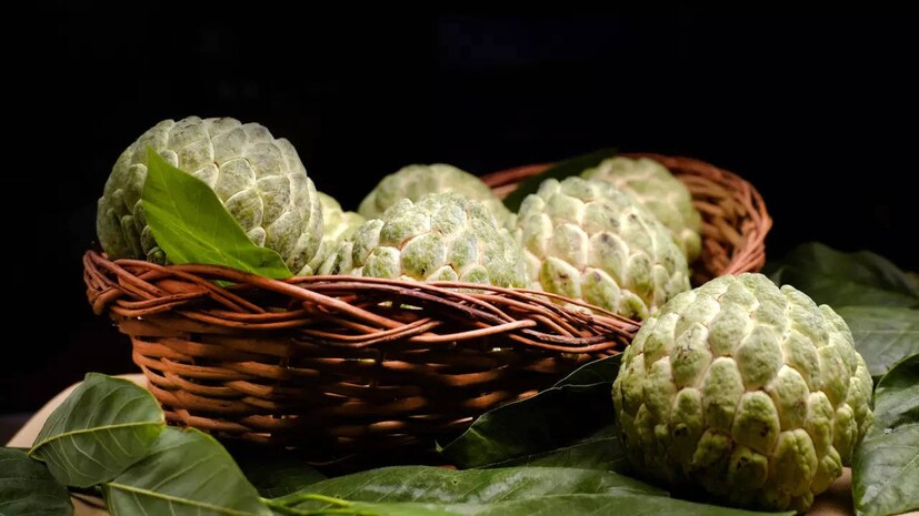 প্রচুর ফাইবার থাকায় কোষ্ঠকাঠিন্য দূর করে আতা৷ সুস্বাদু এই ফলে প্রচুর পটাশিয়াম ও ম্যাগনেসিয়াম আছে৷ তাই উচ্চ রক্তচাপ রোগীদের ক্ষেত্রে আতা কার্যকর৷ ভিটামিন সি এবং অ্যান্টি অক্সিড্যান্ট বেশিমাত্রায় থাকে বলে রোগ প্রতিরোধ ক্ষমতা বৃদ্ধি পায় আতায়৷ সংক্রমণের বিরুদ্ধে লড়াই করার ক্ষমতাও বাড়ে৷