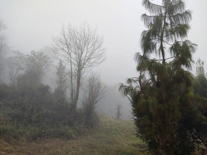 কোচবিহার : মেঘলা আকাশ। সর্বনিম্ন তাপমাত্রা ২২ ডিগ্রি সেলসিয়াস।