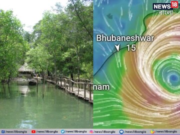 ১৯৯৯ সালের সুপার সাইক্লোনের পর দানা!ঘূর্ণিঝড়ের রোষ থেকে কীভাবে রক্ষা ভিতরকণিকার