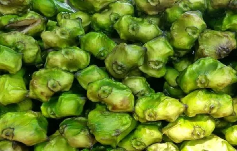 দেরাদুনের আয়ুর্বেদিক চিকিৎসক সিরাজ সিদ্দিকী বলেন,পানিফলে  প্রচুর পরিমাণে ভিটামিন বি৬ এবং বি১২ রয়েছে, যা শরীরে শক্তি যোগানোর পাশাপাশি নার্ভাস সিস্টেমকে শক্তিশালী করতে সাহায্য করে। 