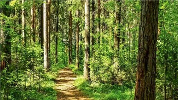 চিল্কিগড়ের