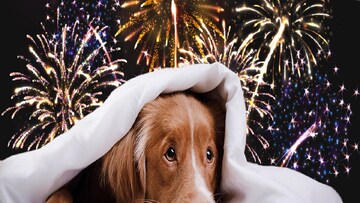 প্রতীকী