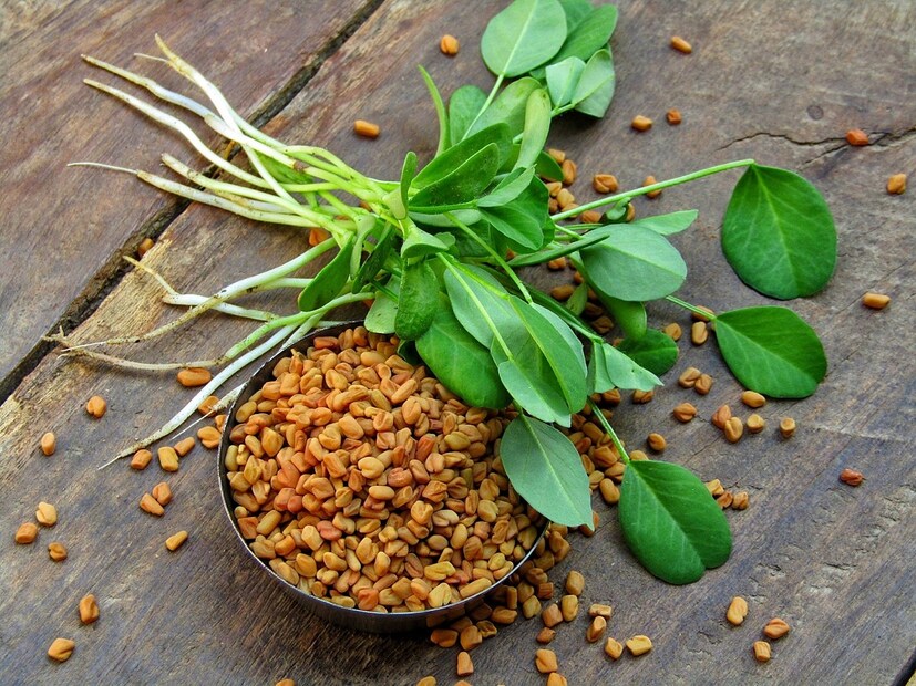 মেথি (Fenugreek)মেথিতে লো পিউরিন মাত্রা থাকে৷ এতে জয়েন্টের ব্যাথা কমানোর অব্যর্থ দাওয়াই থাকে৷ ইউরিক অ্যাসিডের মাত্রা নিয়ন্ত্রণ করতে মেথি খুবই কার্যকরী৷