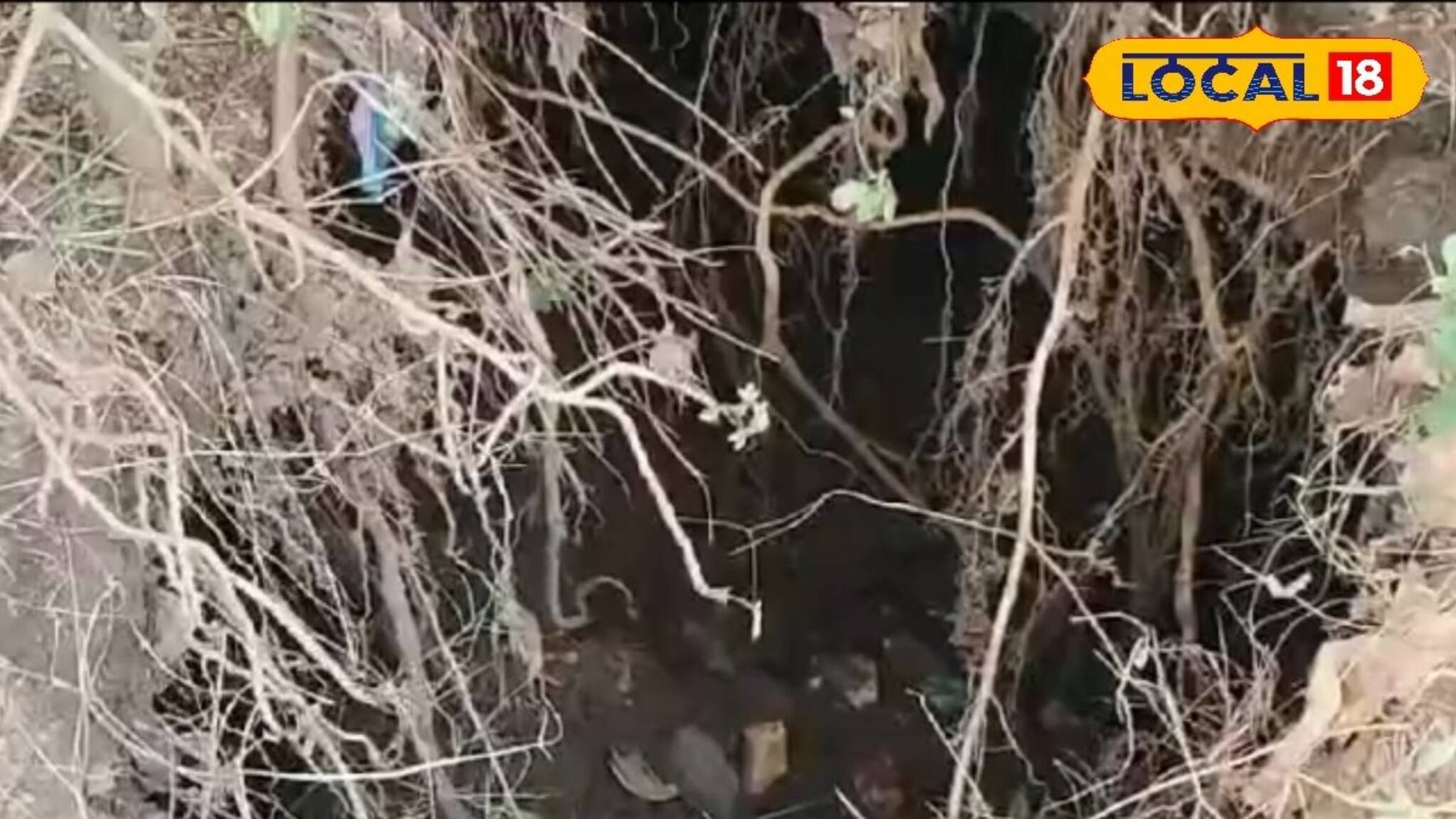 ১৫ বছরের পুরানো বিপদ আবার ভয় ধরাচ্ছে! কারণ কি?