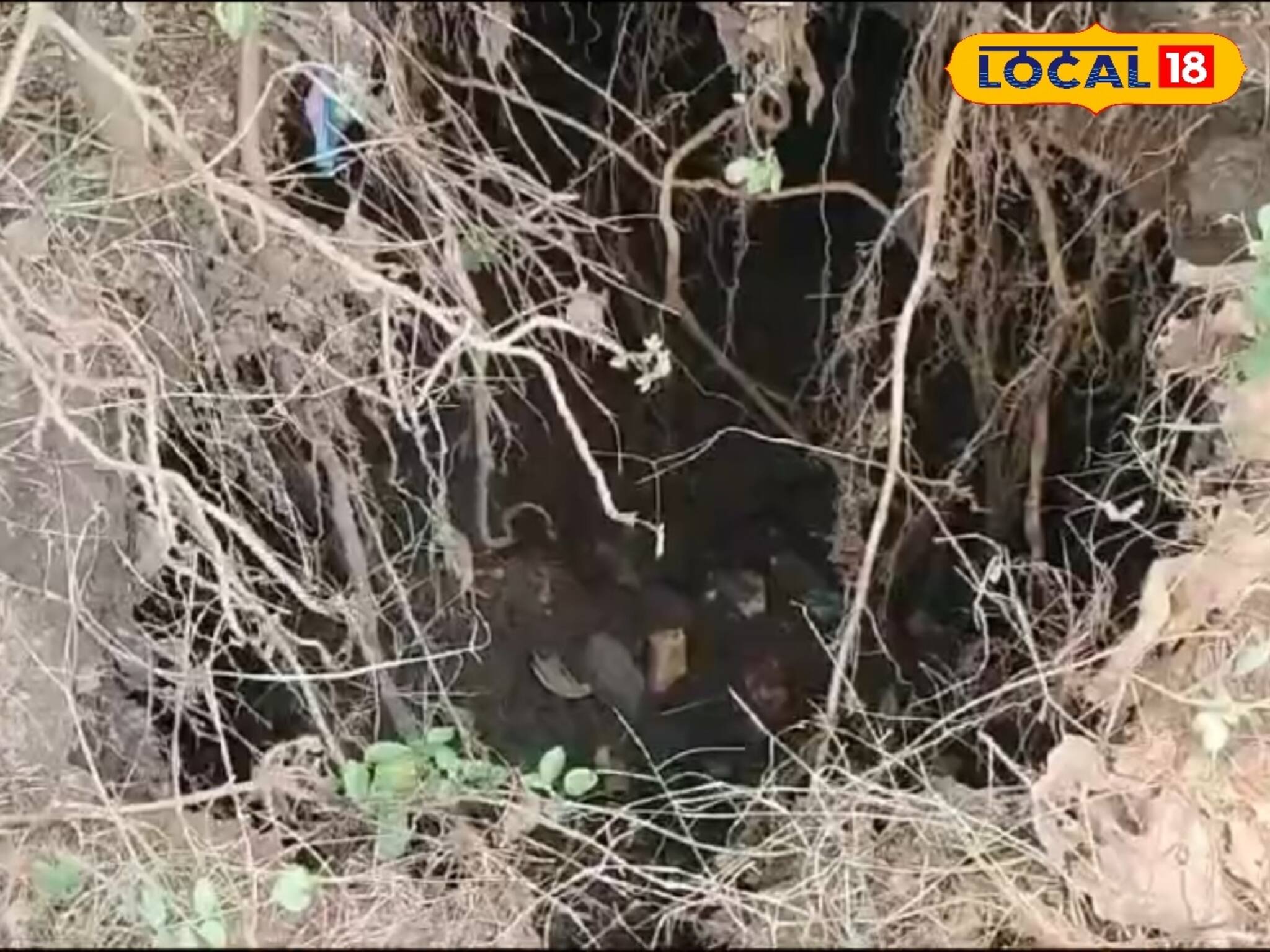 ১৫ বছরের পুরানো বিপদ আবার ভয় ধরাচ্ছে! কারণ কি?