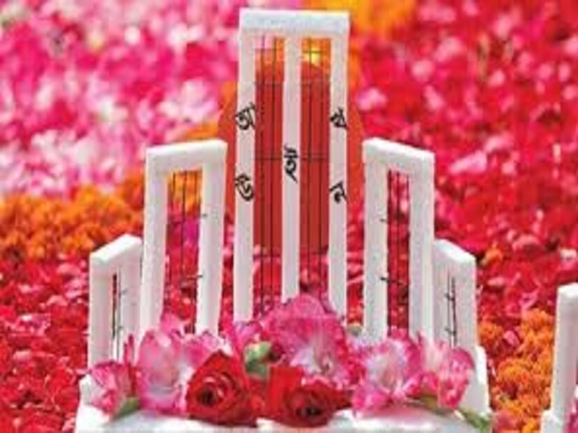 আসলে এই ভাষাগুলো আলাদা আলাদা কয়েক ডজন অসম্পর্কিত পরিবারের অন্তর্ভুক্ত। এরকমও কিছু ভাষার সন্ধান এখানে পাওয়া যায়, যা কোনও পরিবারেরই অংশ না। এর শিকড় কোথায়, তা-ও জানা যায়নি।