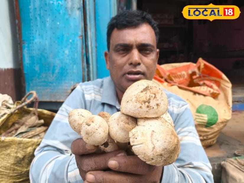 কাড়ান ছাতু দেখতে কিছুটা লম্বাটে হয়ে থাকে। এই ছাতু দেখলেই চিনে ফেলা যায় খুব সহজে। কাড়ান ছাতুর পাশাপাশি বিক্রি হচ্ছে অন্যান্য ছাতুও, যেগুলি মূলত পাওয়া যায় গোটা বছর। তবে বিশেষজ্ঞ চিকিৎসকদের মতে ছাতু দেখেশুনে খাওয়া উচিত। প্রত্যেকটি ছত্রাক খাদ্য উপযোগী হয় না, তবে খাবার যোগ্য সুস্বাদু অন্যতম কাড়ান ছাতু কেড়ে নিয়েছে বাঁকুড়ার বাজার।