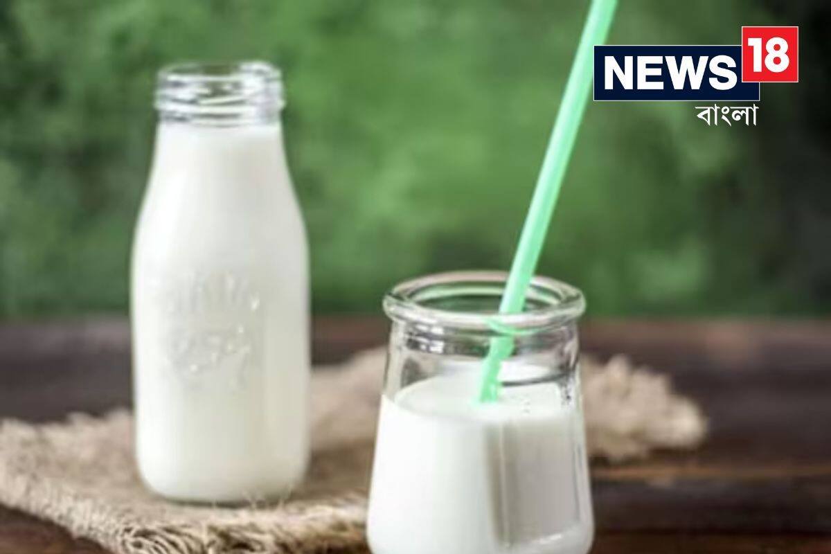 Health Tips: রাতে দুধে এক চিমটে মেশান এই জিনিস! এনার্জি আসবে টগবগিয়ে, গাঁটের ব্যথাও কমবে Health Tips: রাতে দুধে এক চিমটে মেশান এই জিনিস! এনার্জি আসবে টগবগিয়ে, গাঁটের ব্যথাও কমবে