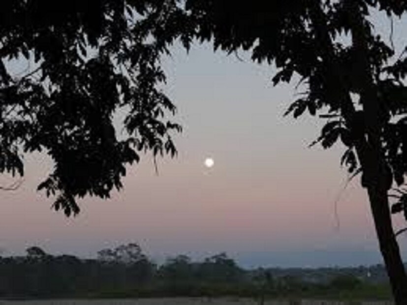 তবে, জীববৈচিত্র্য দেখার জন্য ইকুয়েডর একটি জনপ্রিয় দেশ। এখানে রয়েছে ইউনেসকো হেরিটেজ গালাপাগোস দ্বীপপুঞ্জ। এখানে ৯ হাজারের বেশি প্রজাতির প্রাণীর দেখা মেলে। বিশ্বের বৃহত্তম কচ্ছপ থেকে শুরু করে সামুদ্রিক ইগুয়ানা, পেঙ্গুইন, সি লাওনসহ আরও কত কী। এই দ্বীপে বাস করা জীববৈচিত্র্য পৃথিবীর আর কোথাও দেখা মেলে না।