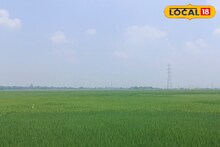 এ কী কাণ্ড! হঠাৎ ধান ক্রয় কেন্দ্রে জেলাশাসক! কী অভিযোগ ছিল প্রশাসনের কাছে?