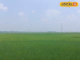 News18