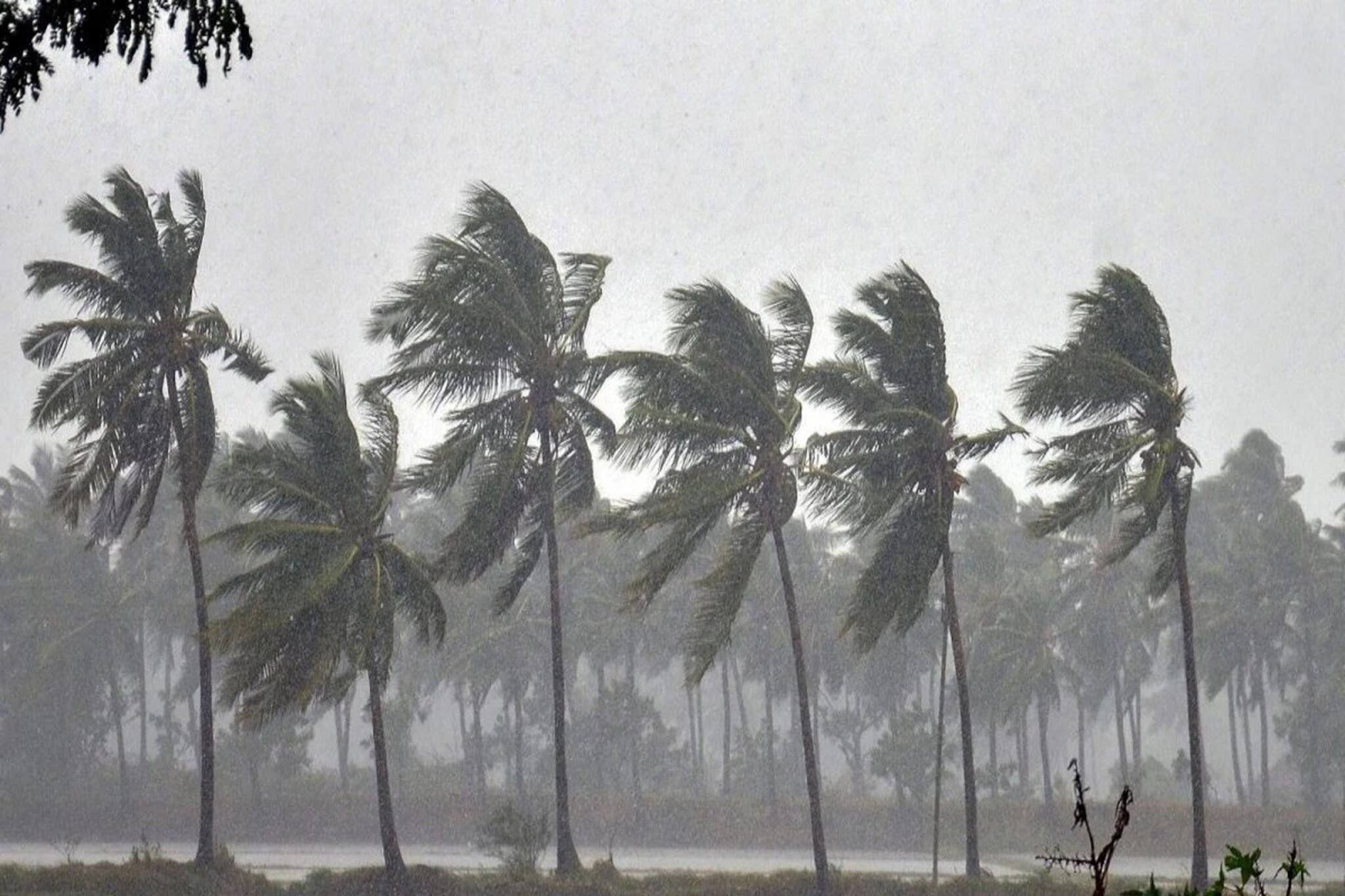 গরম পড়লেই বৃষ্টি চাই, কিন্তু বৃষ্টিই প্রাণ নিয়েছে ১৫০০ মানুষের! প্রকাশ্যে তথ্য