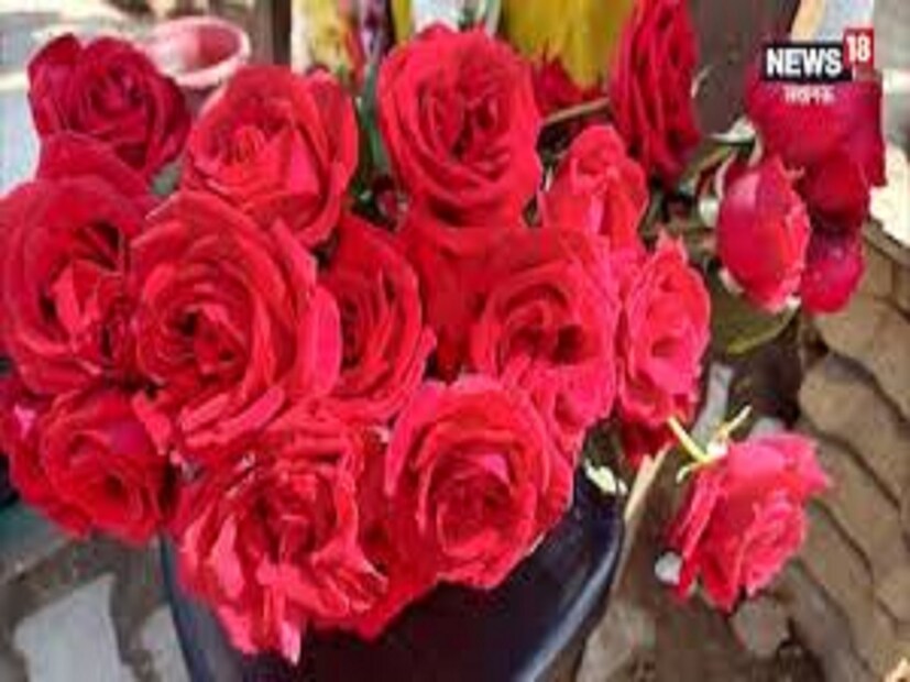 উত্তর দিনাজপুর জেলার  ব্যবসায়ীদের কাছে  নদিয়া থেকেই লোকাল গোলাপ আসে। যা মূলত ১০ টাকা থেকে ২০ টাকা দামে সারা বছর বিক্রি হয়। তবে ভ্যালেন্টাইন্সের সপ্তাহে বিশেষ আকর্ষণ লম্বা ডাঁটিওয়ালা বিশেষ প্রজাতির (চায়না) গোলাপ। যা সাধারণত আসে বেঙ্গালুরু থেকে। এ বার সেই গোলাপের দামও বেশ চড়া। গত বছর যেখানে প্রতিটি চায়না গোলাপের দাম ছিল ৪০ টাকা। এ বার তা বিকতে পারে ৬০/৭০  টাকারও বেশি দামে।