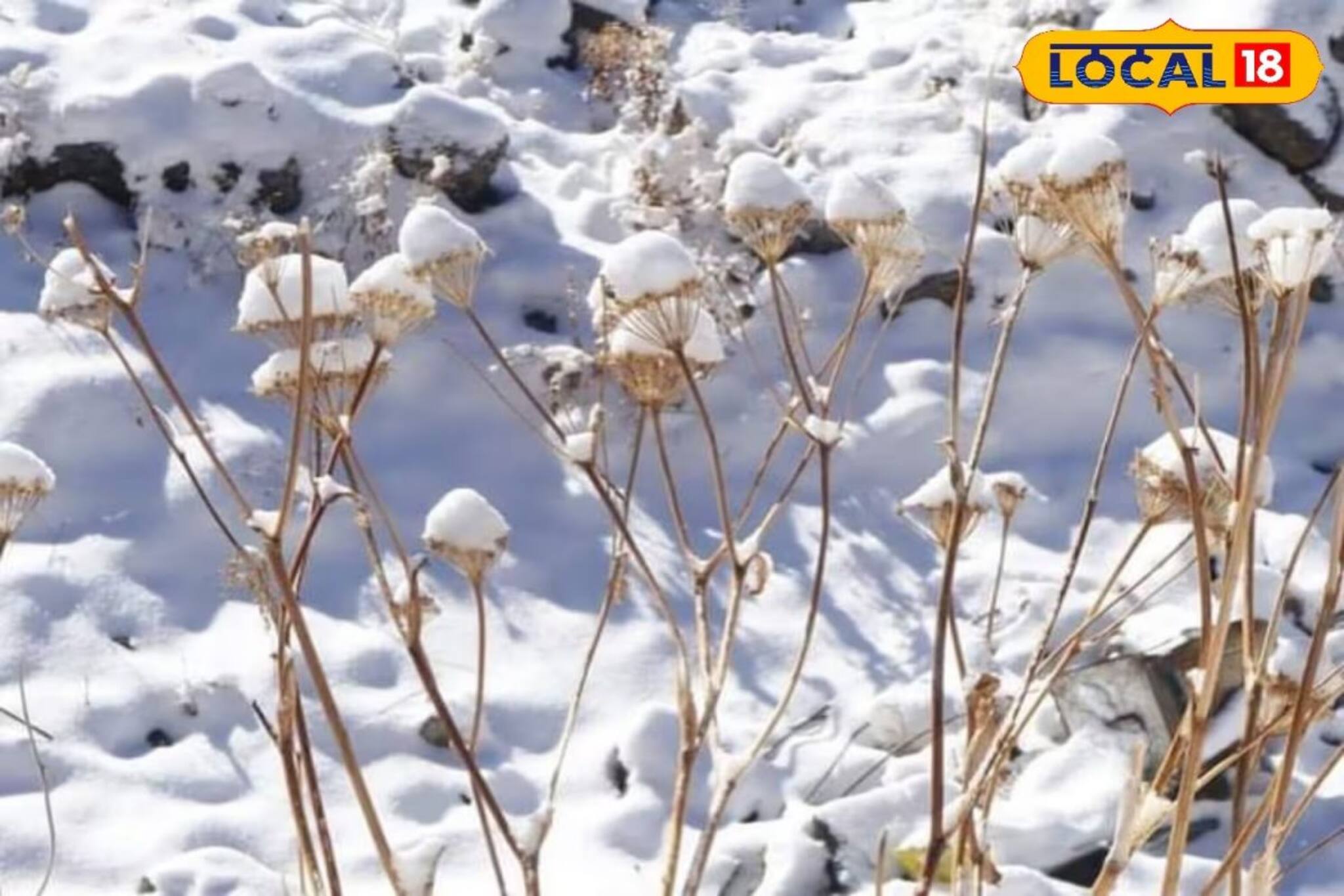 স্নোফলের পর মনোরম পরিবেশ মাউন্ট আবুতে, দেখুন ভিডিও