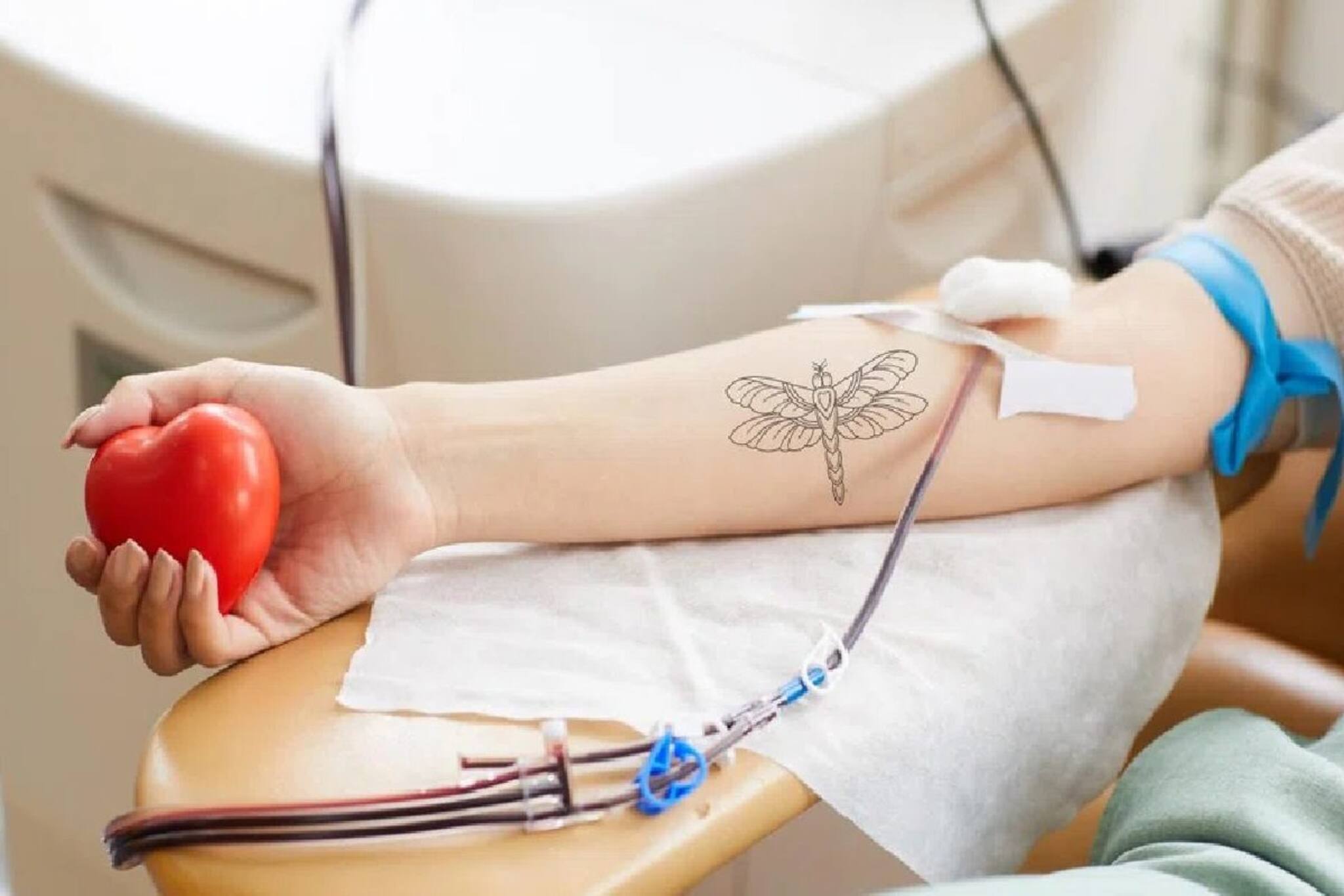 শরীরে ট্যাটু থাকলে কি রক্ত দেওয়া যায়? কী বলছেন চিকিৎসকরা! আসল সত্যিটা জেনে নিন
